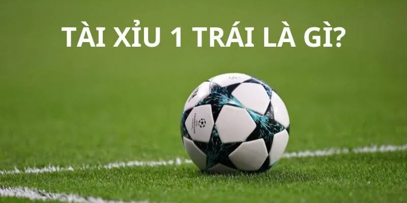 Giới Thiệu Về Tài xỉu 1 trái